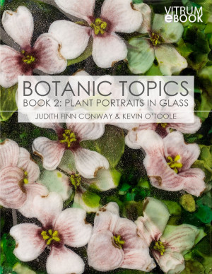 Ebook | Botanic Topics, Book 2: Plant Portraits in Glass