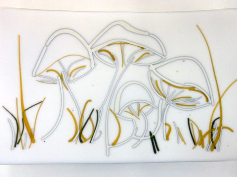 Vitrigraph Plate